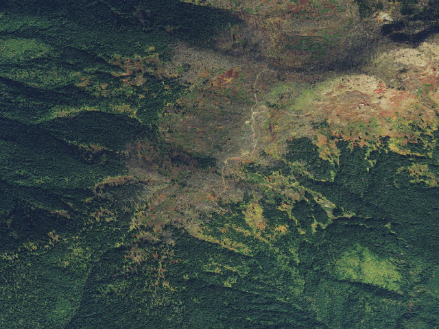 Aerial image of Road317-013