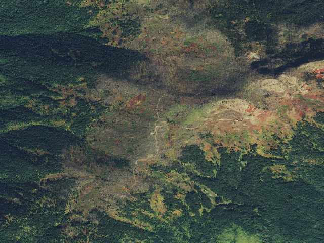 Aerial image of Road317-023