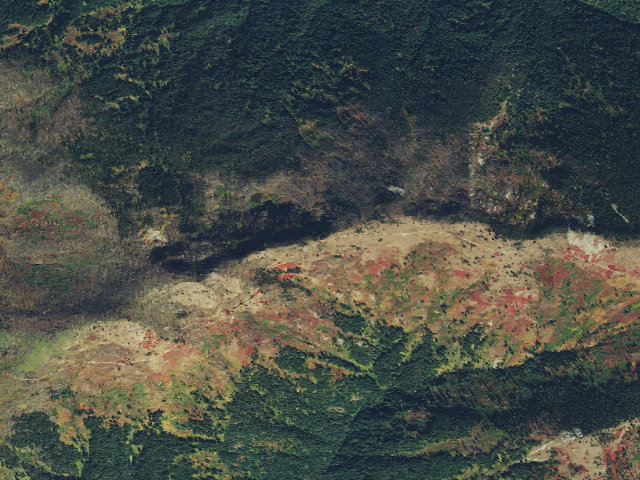 Aerial image of Road317-025