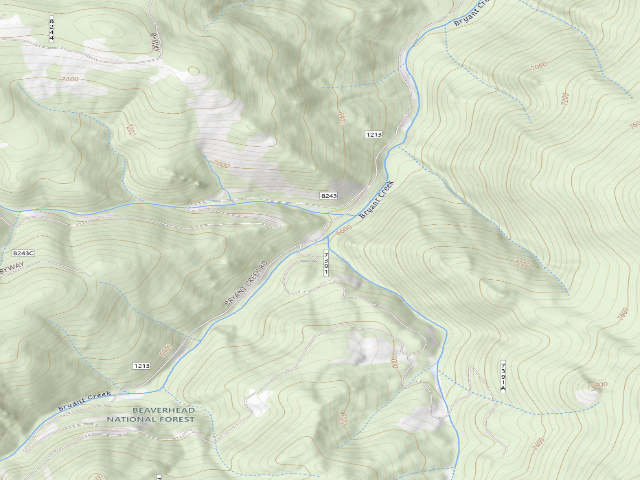USGS topographic map of Roadside