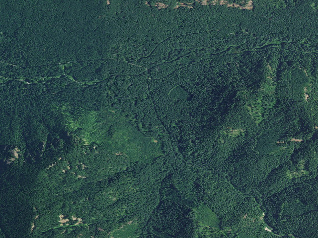 Aerial image of Roaring River