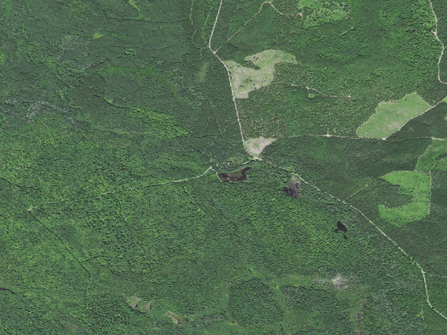 Aerial image of Robbins Pond Campground