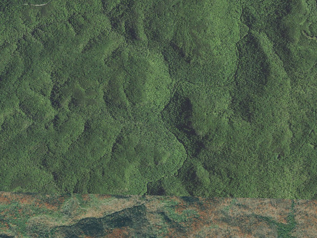 Aerial image of Rock Creek 1