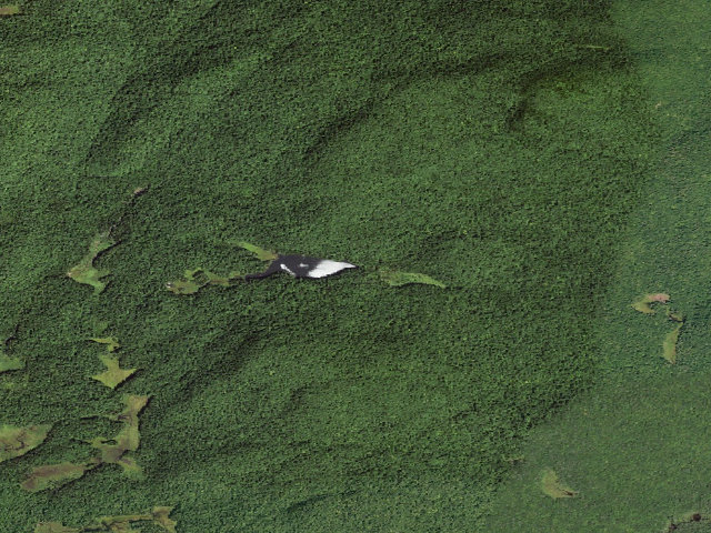 Aerial image of Rock Lake Campsite (Silver Lake Wilderness)