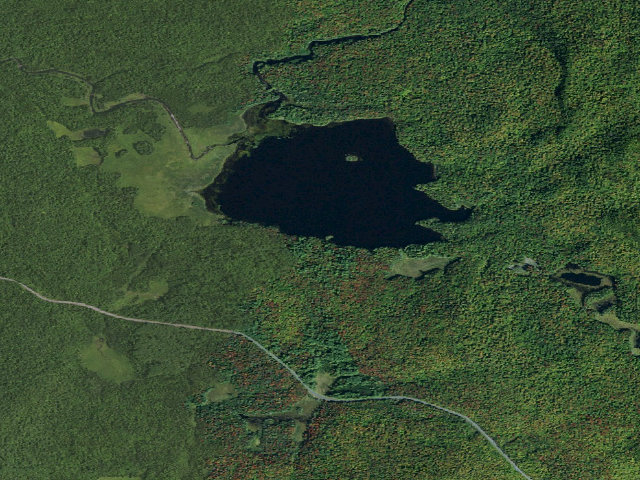 Aerial image of Rock Lake [DEC #15861] (Blue Mountain Wild Forest)