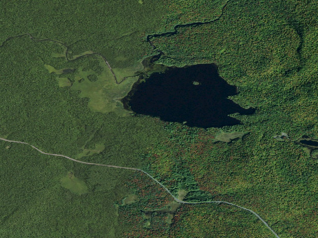 Aerial image of Rock Lake Site [DEC #15860] (Blue Mountain Wild Forest)