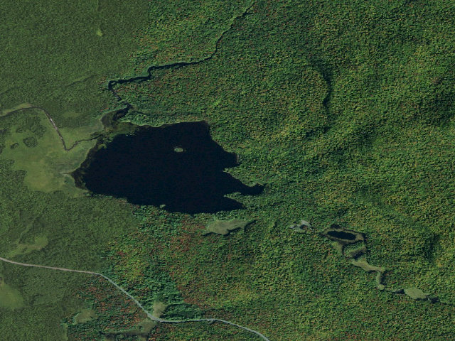 Aerial image of Rock Lake Site [DEC #15863] (Blue Mountain Wild Forest)