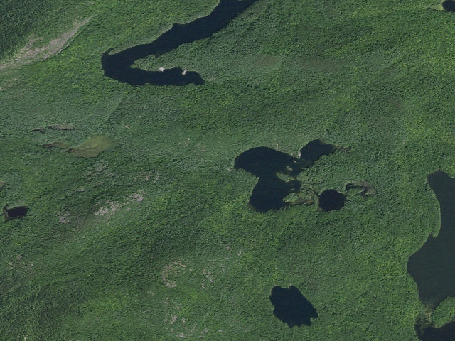 Aerial image of ROCK POND BROOK PRIMITIVE TENT SITE (Pharaoh Lake Wilderness)