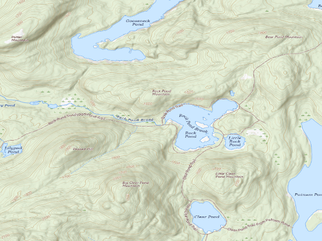 USGS topographic map of ROCK POND BROOK PRIMITIVE TENT SITE (Pharaoh Lake Wilderness)