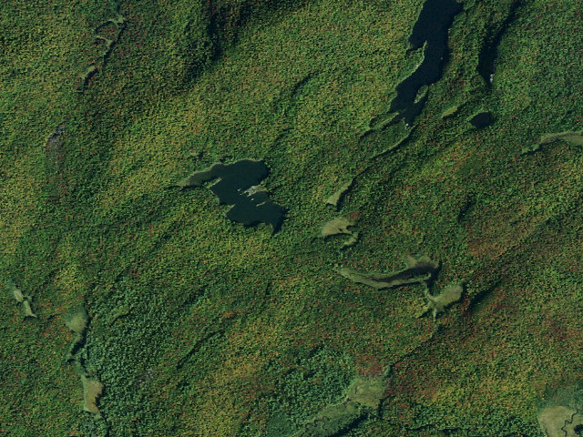 Aerial image of Rock Pond Campsite (Siamese Ponds Wilderness)
