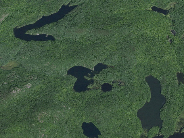 Aerial image of ROCK POND PRIMITIVE TENT SITE 2 (Pharaoh Lake Wilderness)