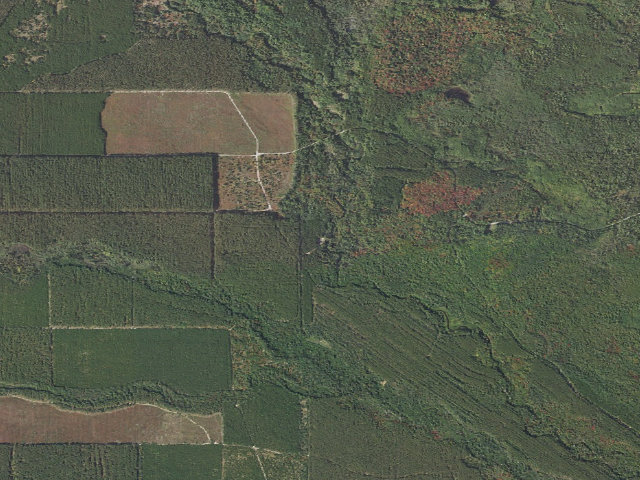 Aerial image of Rock Rapids Dispersed Campsites