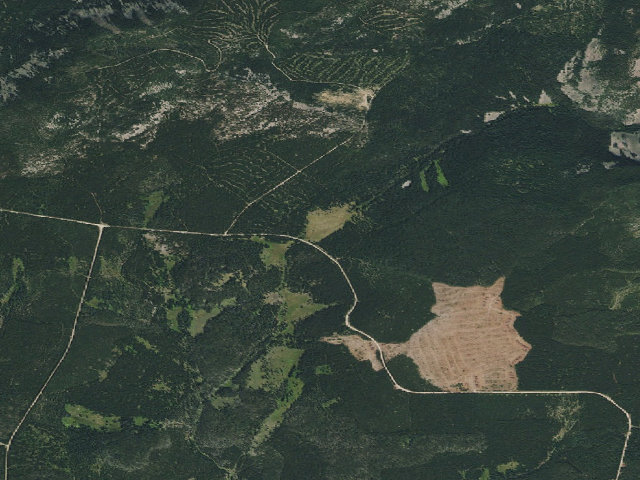 Aerial image of Rocking Chair Park-001