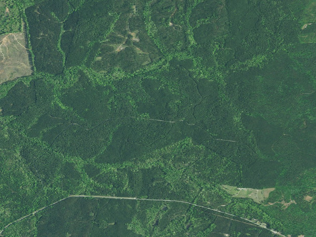 Aerial image of Rocky Branch