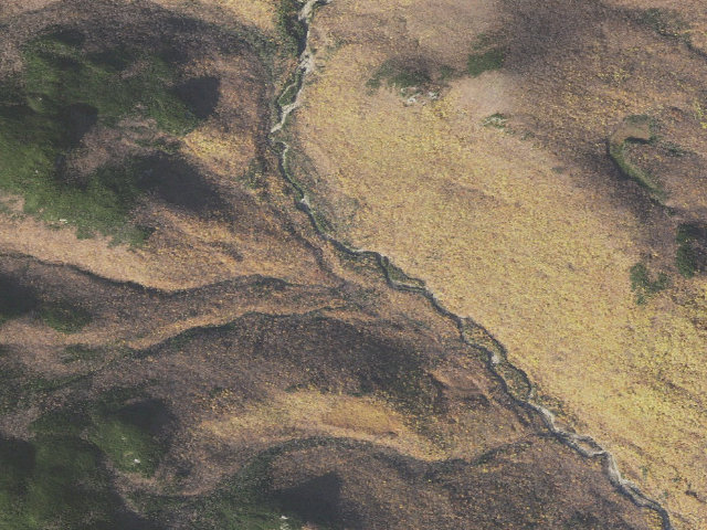 Aerial image of Rocky Branch Shelter #1
