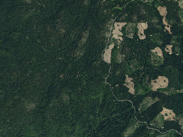 Aerial image of Rogers Cow Camp (Family Cg)