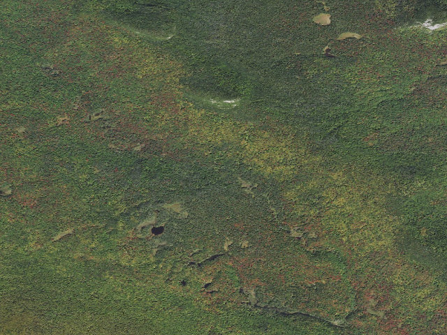 Aerial image of Rogers Ledge Tent Site