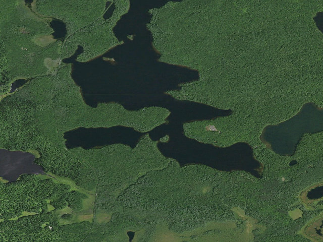 Aerial image of Rollins Pond Site 1 (Saranac Lakes Wild Forest)