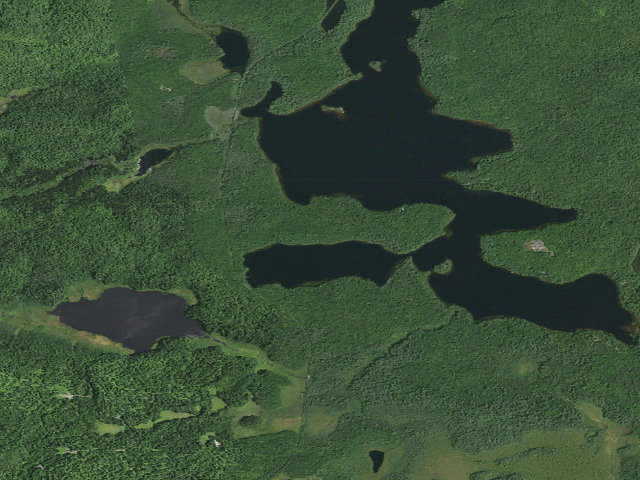 Aerial image of Rollins Pond Site 2 (Saranac Lakes Wild Forest)