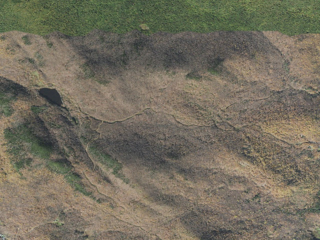 Aerial image of Rolston Rest Shelter