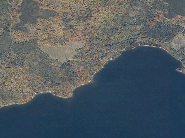 Aerial image of Ronco Cove (Moosehead Lake Shoreline Public Land)