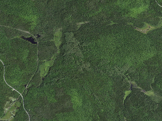 Aerial image of Roosevelt Truck Trail Campsite 1 (Vanderwhacker Mountain Wild Forest)
