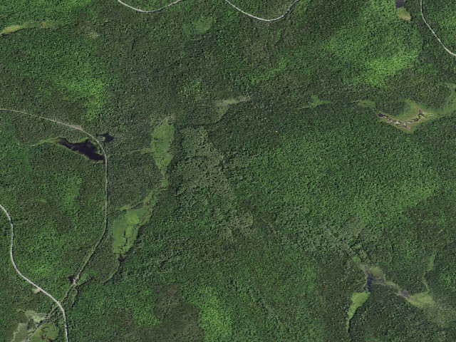 Aerial image of Roosevelt Truck Trail Campsite 2 (Vanderwhacker Mountain Wild Forest)