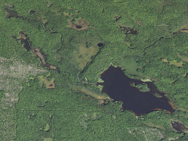 Aerial image of Ross Lake State Forest Campground