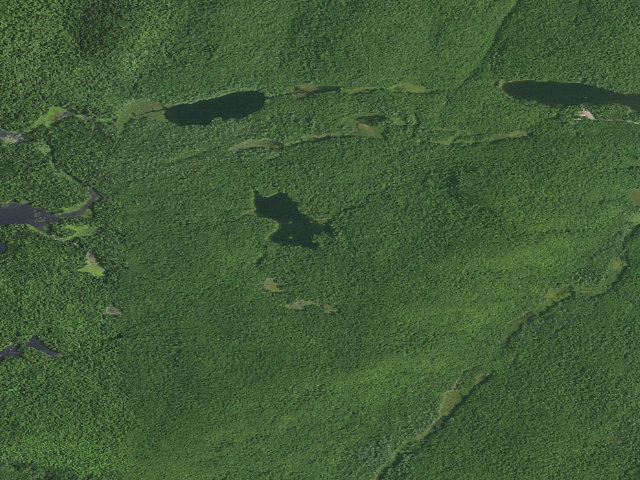 Aerial image of Ross Pond South Tent Site [DEC #3489] (Hudson Gorge Wilderness)