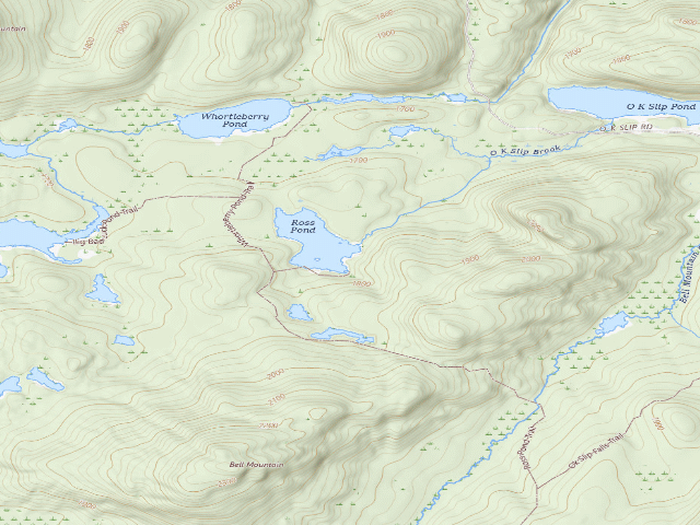 USGS topographic map of Ross Pond South Tent Site [DEC #3489] (Hudson Gorge Wilderness)