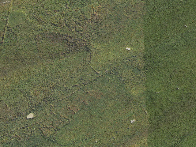 Aerial image of Rothrock State Forest roadside campsite 003 Pine Swamp Road
