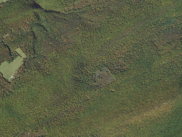 Aerial image of Rothrock State Forest roadside campsite 005 Crowfield Road