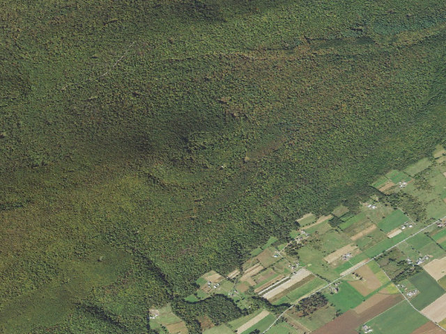 Aerial image of Rothrock State Forest roadside campsite 006 Flat Road