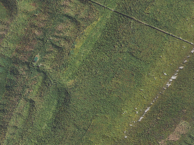 Aerial image of Rothrock State Forest roadside campsite 007 Frew Road