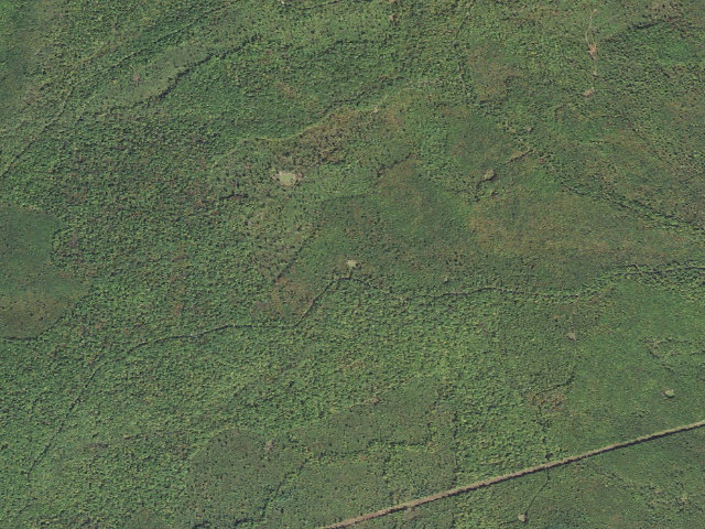 Aerial image of Rothrock State Forest roadside campsite 008 Tar Kiln Road