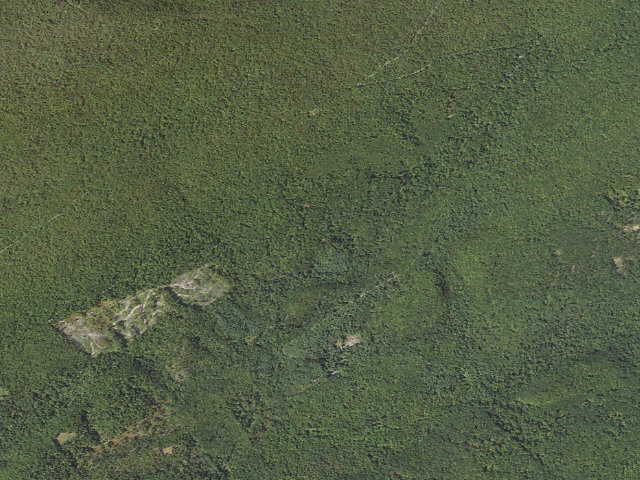 Aerial image of Rothrock State Forest roadside campsite 009 Beibleheimer Road