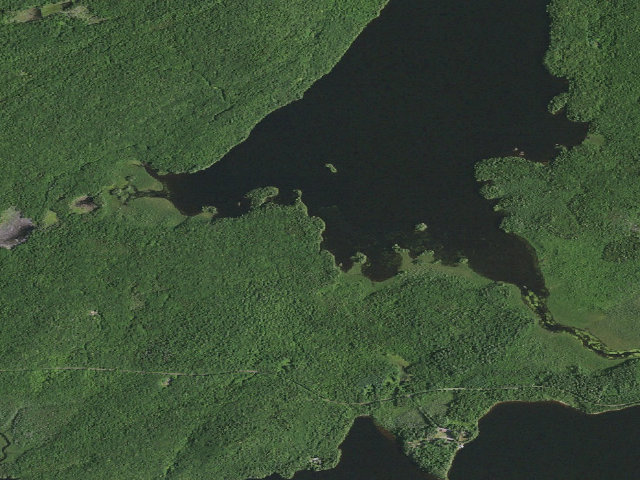 Aerial image of Round Lake Campsite #11 (Round Lake Wilderness)