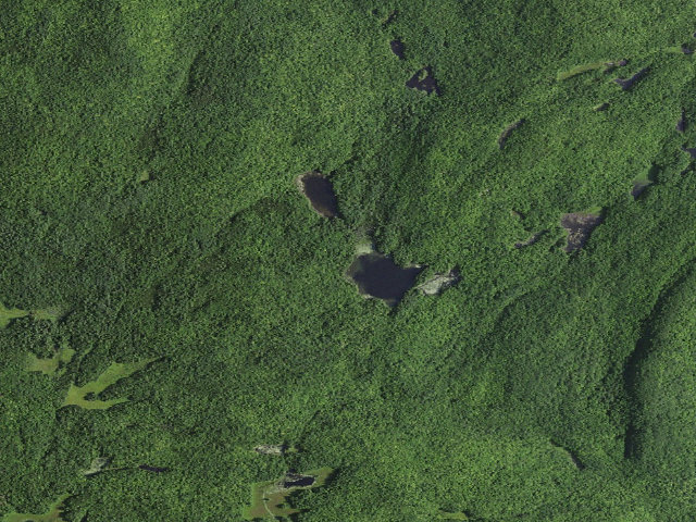 Aerial image of Round Pond 1 (Lake George Wild Forest)
