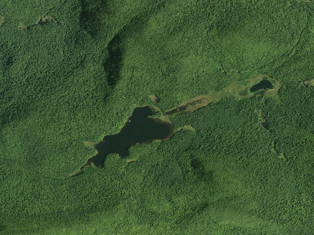 Aerial image of Round Pond Campsite (Wilcox Lake Wild Forest)