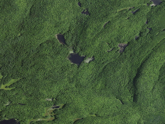 Aerial image of Round Pond (Lake George Wild Forest)
