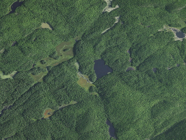 Aerial image of Round Pond Tentsite #1 [DEC #5473] (Hammond Pond Wild Forest)