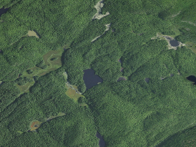 Aerial image of Round Pond Tentsite #2 [DEC #18356] (Hammond Pond Wild Forest)