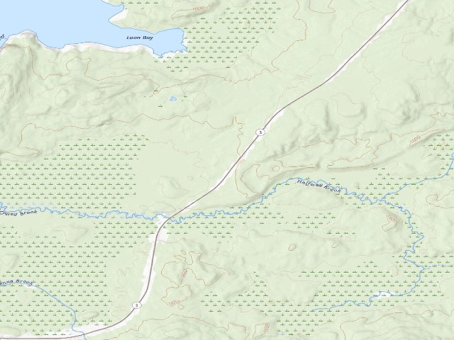 USGS topographic map of Route 3 Campsite (Saranac Lakes Wild Forest)