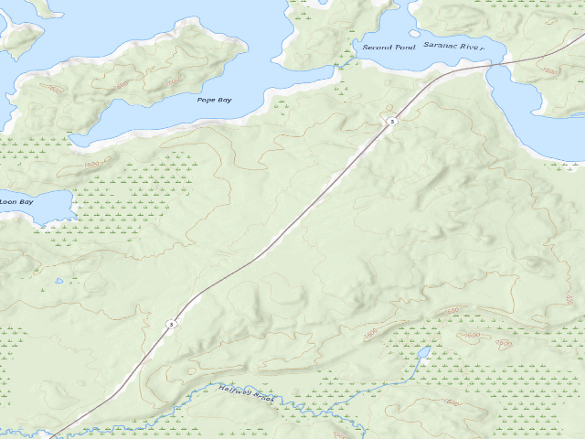 USGS topographic map of Route 3 Campsite (Saranac Lakes Wild Forest)