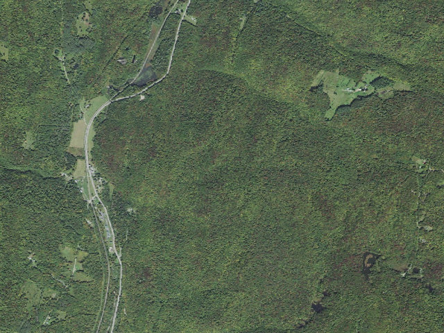 Aerial image of Roxbury State Forest primitive camping area 2