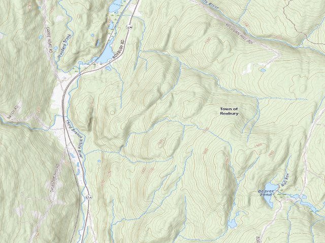USGS topographic map of Roxbury State Forest primitive camping area 2