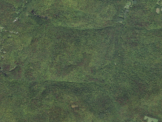 Aerial image of Roxbury State Forest primitive camping area 3