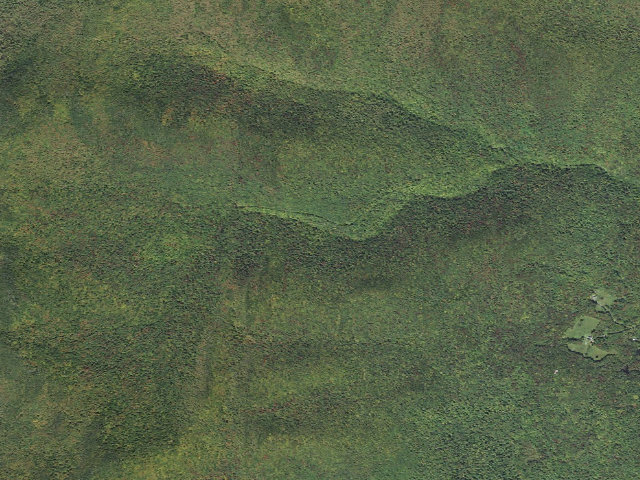 Aerial image of Roxbury State Forest primitive camping area 4
