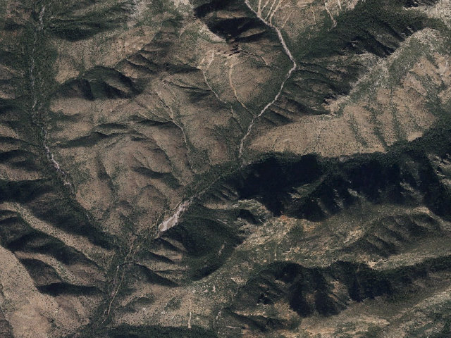 Aerial image of Rucker Forest Camp