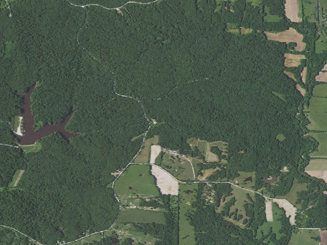 Aerial image of Rudolf Bennitt Conservation Area